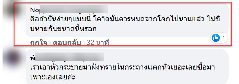 กระชาย-5