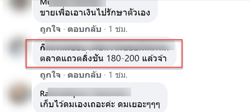 กระชาย-9