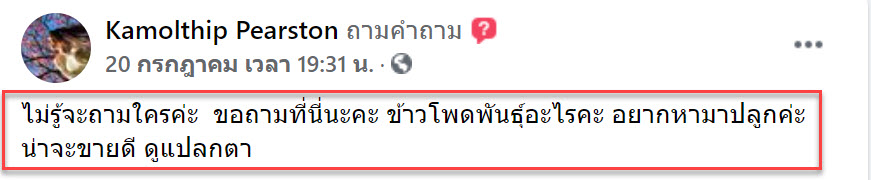 ข้าวโพด-1