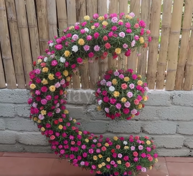 DIYจัดสวนดอกไม้หลากสี จากขวดน้ำพลาสติก2
