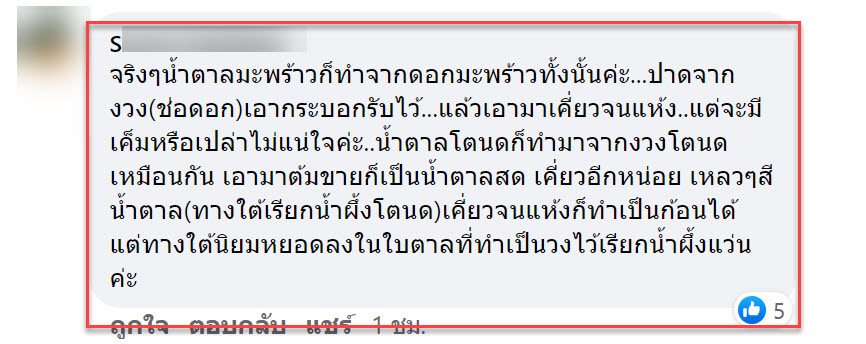 น้ำตาล-6