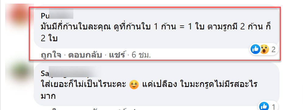 ใบมะกรูด-6