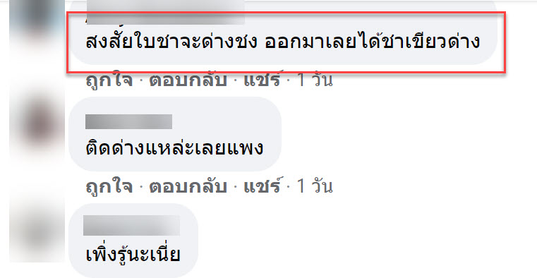 ชาเขียวด่าง-7