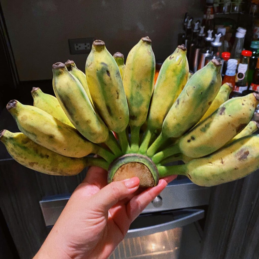 กล้วย-5