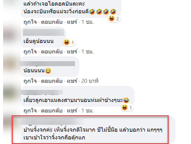 แมลงสาบ-8