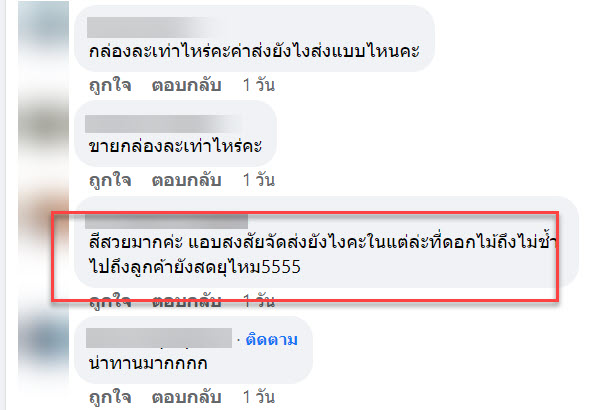 ดอกไม้-8