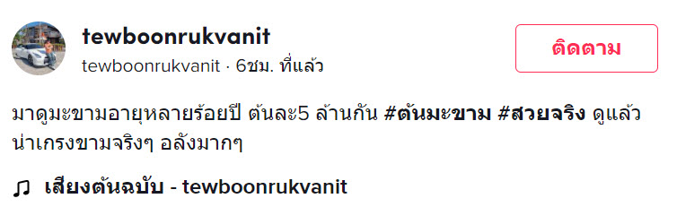 ต้นมะขาม-1