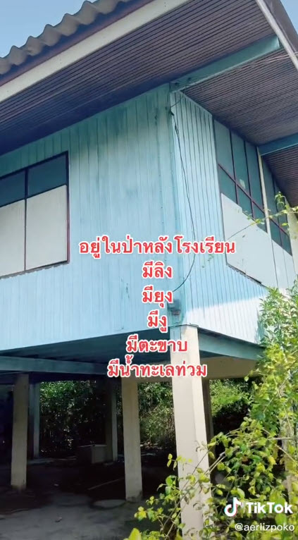 บ้าน-5