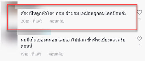 ฟักทอง-7