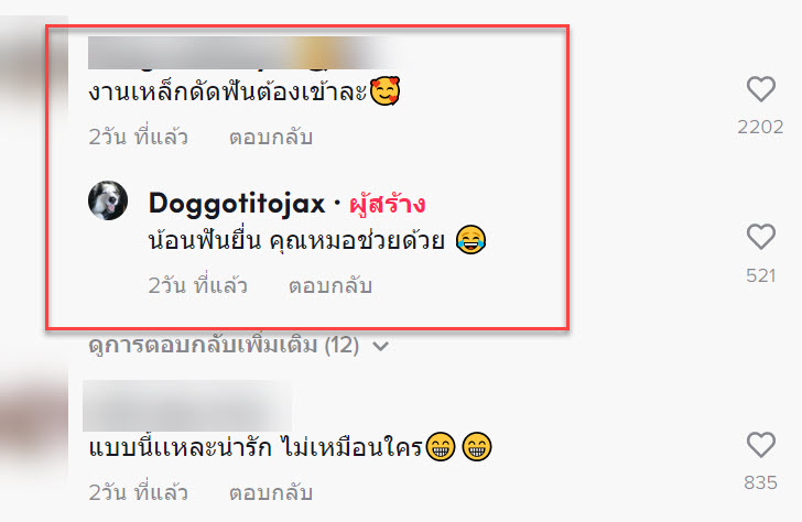 น้องหมา-9