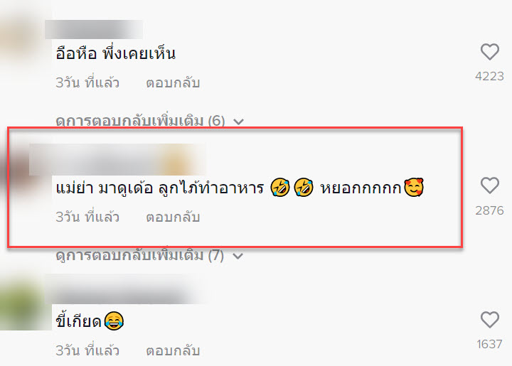 ไข่เจียว-5